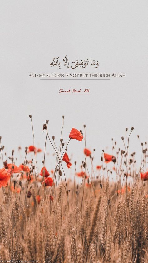 Quran Quotes In English, Quranic Quotes, Coran Quotes, Quran In English, One Word Instagram Captions, Quran Wallpaper, Religion Quotes, Quranic Verses, Quotes In English