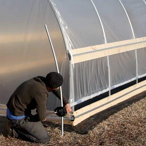 Diy Greenhouse Cheap Easy, Pvc Greenhouse Plans, Make A Greenhouse, Greenhouse Watering, Homemade Greenhouse, Simple Greenhouse, Pvc Greenhouse, Greenhouse Construction, Cheap Greenhouse