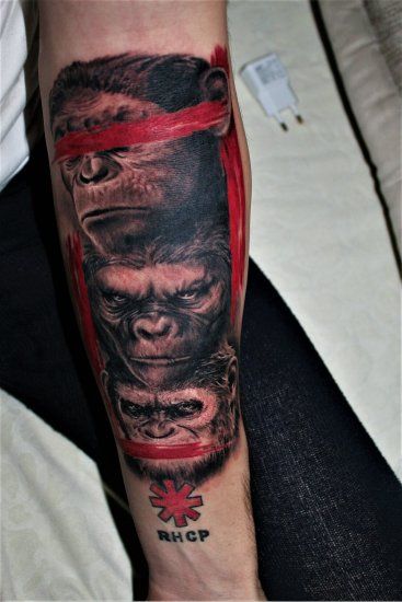 3 Wise Monkey Tattoo Ideas, Hear No Evil See No Evil Tattoo Monkey, Ape Tattoos For Men, Three Monkeys Tattoo, 3 Wise Monkeys Tattoo, Three Wise Monkeys Tattoo, Serious Tattoos, Forearm Tats, Calf Tattoo Men