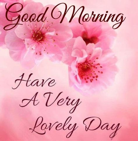 Have A Very Lovely Day days floral good morning morning images good morning greetings daily morning quotes Good Morning Wishes Friends, Good Morning Tuesday, Good Morning Funny Pictures, Good Morning Roses, Good Morning Wallpaper, Good Morning Beautiful Images, Good Morning Cards, Morning Funny, Good Morning Images Flowers