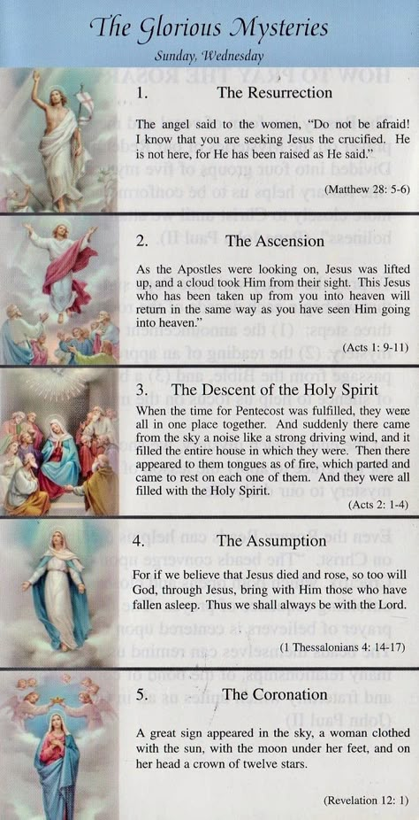 Praying The Rosary Catholic, Rosary Guide, Rosary Mysteries, Rosary Prayers Catholic, Catholic Prayers Daily, Catholic Beliefs, Novena Prayers, Rosary Prayer, Christian Quotes Prayer