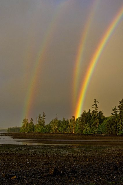 not even sure this is possible! Mirrored double rainbow in Naden Harbour, Haida Gwaii, British Columbia Canada. Rainbows In The Sky, God's Promise, Doreen Virtue, To Infinity And Beyond, Natural Phenomena, Beautiful Rainbow, Beautiful Sky, Pics Art, Heavenly Father