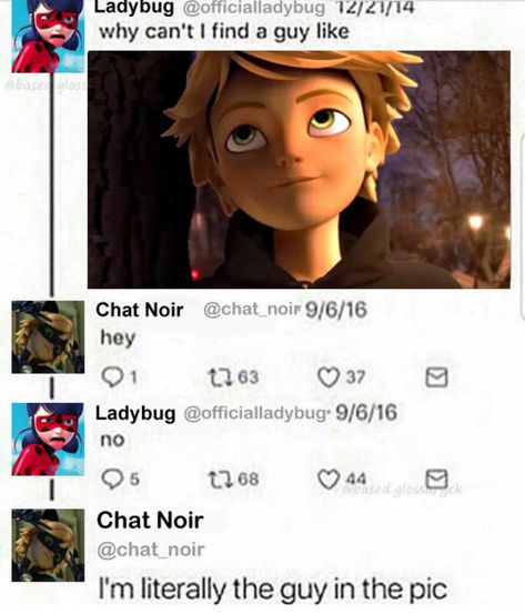 Basically Miraculous | Miraculous Ladybug | Know Your Meme Lady Noir, Ladybug And Cat Noir, Film Anime, Miraculous Ladybug Memes, Miraculous Ladybug Fanfiction, Ladybug Anime, When Things Go Wrong, Miraculous Ladybug Movie, Miraculous Ladybug Fan Art