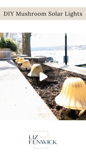 Liz Fenwick DIY on Instagram: "DIY mushroom solar lights! 🍄‍🟫☀️ I picked up these solar lights from Dollar Tree and glued them to these light shades I got at the ReStore! I LOVE how they turned out!! ❤️   #dollartreefinds #dollartree #dollartreediy #dollartreecommunity #dollartreeobsessed #dollartreecrafts #dollartreehaul #dollartreehacks #thriftflip #thriftstorefind #diyhome #outdoorliving #outdoordecor" Dollar Tree Outdoor Lighting Ideas, Dollar Tree Led Lights, How To Repair Solar Garden Lights, Diy Solar Mushroom Lights, Dollar Tree Christmas Solar Light, Dollar Tree Haul, Dollar Tree Hacks, Dollar Tree Finds, Thrift Flip