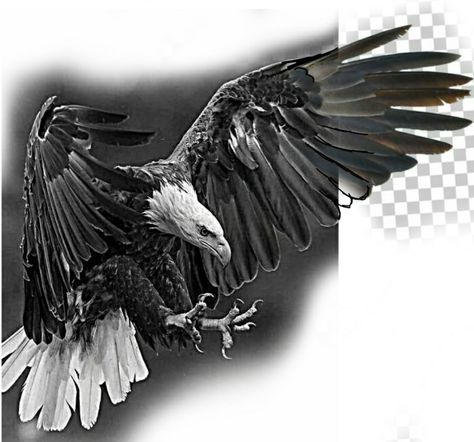 Eagle Shoulder Tattoo, Black And Grey Tattoos Sleeve, Mexico Wallpaper, Imperial Eagle, Wing Tattoo Designs, Mens Shoulder Tattoo, Eagle Pictures, Wolf Tattoo Design, Eagle Tattoos