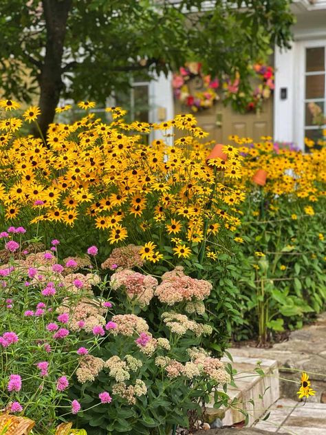 Annual Vs Perennial, Summer Blooming Flowers, Design Garden Ideas, Easy Perennials, Perennial Gardens, Late Summer Flowers, English Gardens, Potager Garden, Party Garden