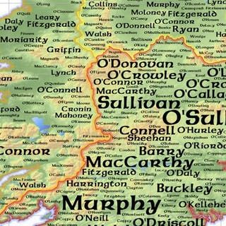 Tracing Your Irish Roots: Great Irish Family Names and their Coats of Arms Irish Surnames Family Names Ireland, Irish Last Names, Brian Boru, Irish Wedding Traditions, Irish Surnames, Irish Genealogy, Irish Coat Of Arms, Ireland History, Irish Ancestry