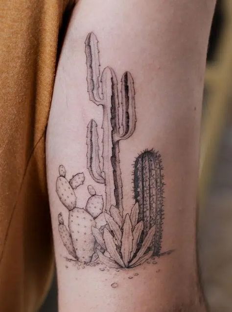 Cactus Tattoo Symbolism: A Guide To Their Meanings Cactus Tattoo Meaning, Cactus Tattoo Women, Desert Plant Tattoo, Desert Sleeve Tattoos For Women, Desert Cactus Tattoo, Desert Plants Tattoo, Saguaro Tattoo, Arizona Cactus Tattoo, Arizona Desert Tattoo