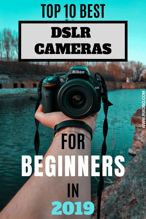 Cameras For Beginners, Dslr Quotes, Camera Png, Camera Vector, Best Camera For Photography, Digital Photography Lessons, Dslr Photography Tips, Best Dslr, Camera Vintage