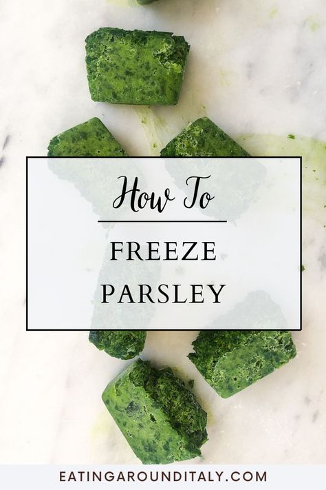 top view of frozen cubes of parley spread out in a straight line on a marble background with text box overlay How To Freeze Parsley, Preserve Parsley, Fresh Parsley Uses, Can You Freeze Parsley, Parsley Uses, Recipes That Use Parsley, How To Freeze Fresh Parsley, How To Preserve Parsley, Freeze Parsley