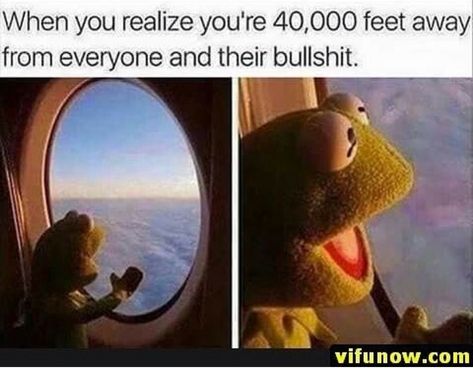 Kermit the Frog meme, airplane, 40,000 feet away from their bull shit Vacation Meme, Memes Humor, When You Realize, Oui Oui, Really Funny Memes, Instagram Foto, Funny Posts, Travel Ideas, Funny Cute