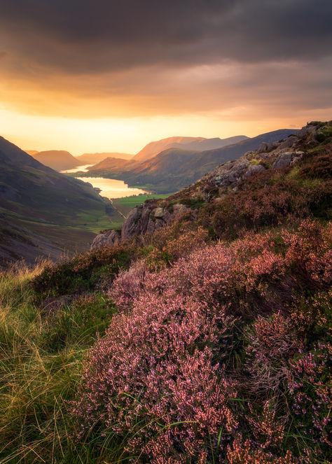 A beautiful sunset at Buttermere in the Lake District.

Print available in my Etsy shop! Summer Countryside, Sunset Landscape Photography, Derwent Water, English Summer, Purple Heather, Is It Worth It, The Lake District, Sunset Landscape, Sunset Photos