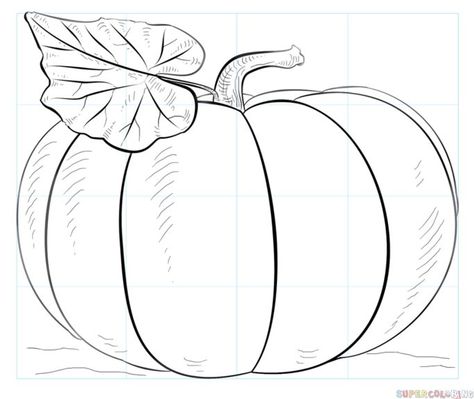 How to draw a pumpkin | Step by step Drawing tutorials | Pumpkin drawing, Fall canvas painting, Fall drawings Draw A Pumpkin, Plants Drawings, Fall Drawings, Pumpkin Drawing, Fall Canvas Painting, Fall Canvas, Drawing Tutorials For Kids, Fall Coloring Pages, Pumpkin Art