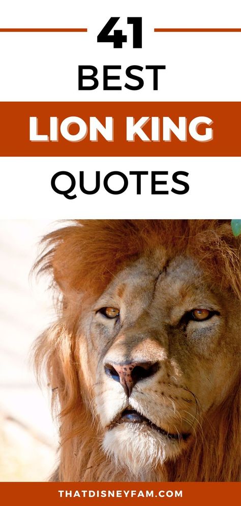 lion Disney Movies Quotes, Disney Quote Lion King, Rafiki Quotes, Rafiki Simba, Scar And Mufasa, Quotes About Wisdom, Lion King Funny, The Lion King Movie, Lion King Poster