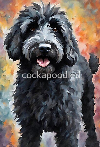 Doodle Dog Drawing, How To Draw A Labradoodle, Dog Paintings Acrylic, Black Cockerpoo, Labradoodle Art Drawings, Cockapoo Black, Black Cockapoo Drawing, Labradoodle Drawing, Labradoodle Painting Easy