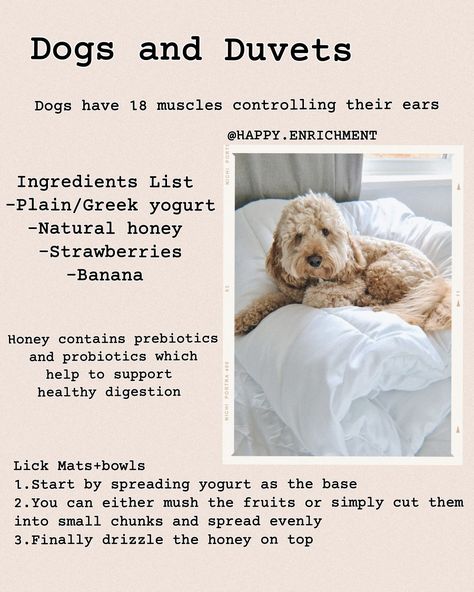 Puppy Lick Mat Ideas, Dog Lick Mat Ideas, Lick Mat Ideas, Bowls Ideas, Potato Breakfast Recipes, Puppy Room, Mat Ideas, Potato Breakfast, Prebiotics And Probiotics