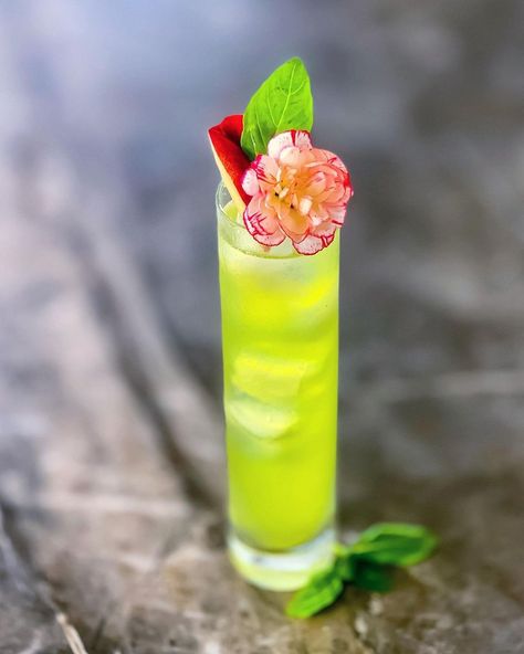 https://www.instagram.com/whats.marisa.drinking?igsh=MWF4eG9uY2pldDBubw== Peach Garnish, Muddled Basil, Basil Flower, Basil Smash, Bellini, Liqueur, Lemon Juice, Syrup, Gin