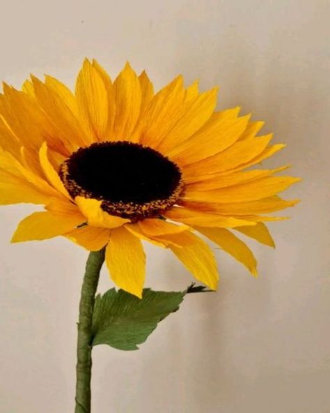 Paper Sunflowers, Crepe Paper Flowers, Crepe Paper, Handmade Flowers, Diy Flowers, Floral Art, Paper Flowers, Paper Art, Sunflower