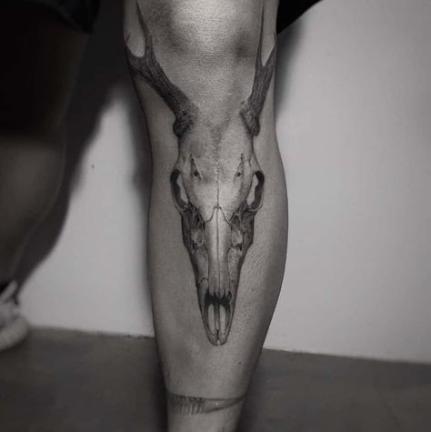 Deer Skull Tattoo, Tattoo Deer, Skull Thigh Tattoos, Skull Tattoo Ideas, Moose Skull, Elk Tattoo, Elk Skull, Deer Skull Tattoos, Thigh Tattoo Men