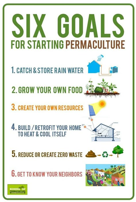 Food Forest Garden, Permaculture Principles, Homestead Gardens, Permaculture Gardening, Permaculture Design, Cottage Garden Design, Survival Gardening, Sustainable Agriculture, Food Forest