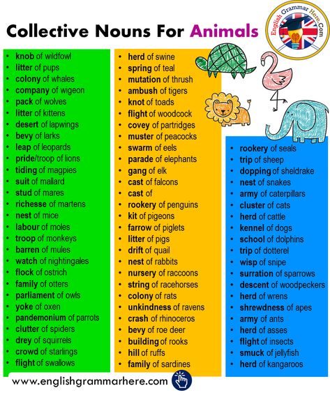 Collective Nouns For Animals in English - English Grammar Here Collective Nouns For Animals, Antonyms Words List, Feeling Words List, Animal Vocabulary, Personality Adjectives, Animals List, List Of Adjectives, Abstract Nouns, Verbs List