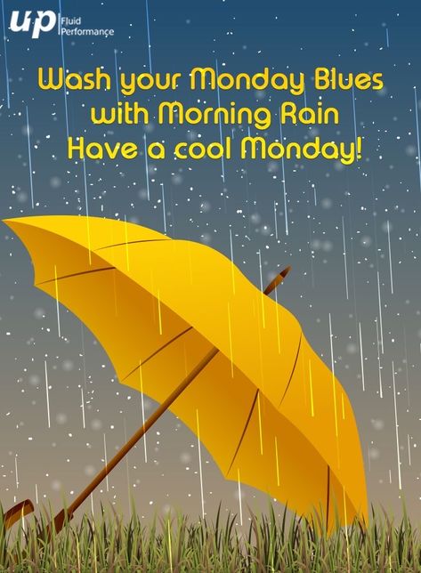 Raining Day Quotes, Rainy Morning Quotes, Rainy Day Images, Good Morning Rain, Rainy Good Morning, Good Morning Rainy Day, Rainy Day Quotes, Rainy Monday, Monday Wishes