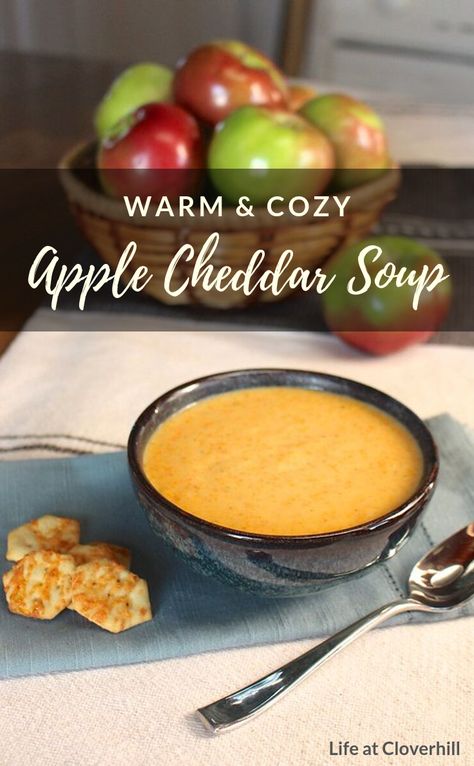 Apple Cheddar Soup - Life at Cloverhill Creamy Maple Brie And Cheddar Apple Soup, Apple White Cheddar Soup, White Cheddar Apple Soup, White Cheddar And Apple Soup, Apple Cheddar Recipes, Apple Cheese Soup, Apple Cheddar Soup, Cheddar Apple Soup, Savory Recipes With Apples