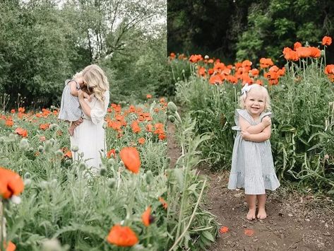 Poppy Field Photoshoot Family, Poppy Field Photoshoot, Fall Minis, Extended Family Photos, Field Photoshoot, Logan Utah, Orange Poppy, Family Picture Outfits, Poppy Field