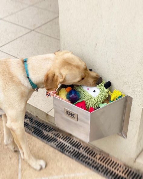 Looking for a stylish place to store your doggos toys that also has drainage at the bottom? We got you! 😋 🏷 Pet Toy Tub 🛒 dkstainless.com.au #DKStainless #LetsKeepAussieManufacturingAlive #igpet #igpets #petlover #dog #dogs #doggy #doggo #doggos #dogthings #dogsofig #dogsofinsta #dogsofinstagram #dogs_of_instagram #doglove #doglovers #doglife #lovedogs #dogchewtoys #dogchewtoy #dogtoy #dogtoys #pettoys #pettoy #instadogs #dogsofinstaworld #dogperson #animal #animals #pets #pet #dogchew Outdoor Dog Toy Storage, Outdoor Dog Toys, Pets Toys, Dog Toy Storage, Storage Tubs, Dog Chew Toys, Dog Chews, Plastic Laundry Basket, Dog Stuff