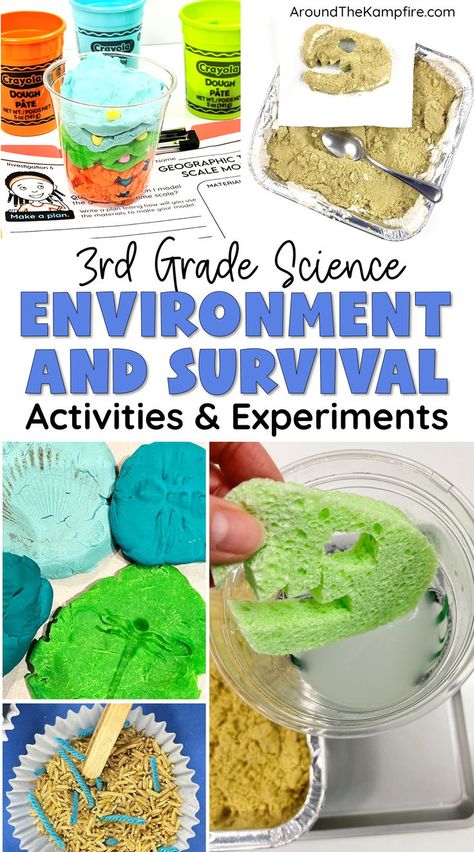 Third grade science experiments for learning about fossils. Third Grade Science Projects, 3rd Grade Science Experiments, 3rd Grade Science Projects, Third Grade Science Activities, Survival Activities, 3rd Grade Science, Easy Science Projects, Grade 3 Science, 3rd Grade Activities