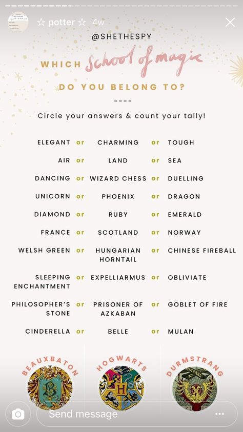 She The Spy, School Magic, Harry Potter Test, Harry Potter House Quiz, Harry Potter Sorting, Harry Potter Sorting Hat, Harry Potter Quizzes, Harry Potter Houses, Harry Potter Theme