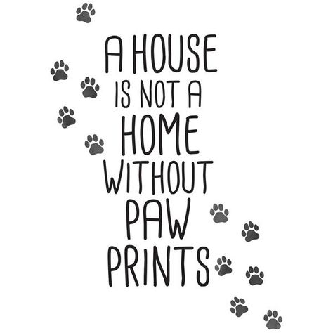 Paw Quotes, Paw Print Art, Pet Quotes, Dog Quotes Love, Quote Decals, Lovers Quotes, Wall Decor Quotes, Wall Quotes Decals, Prints Wall