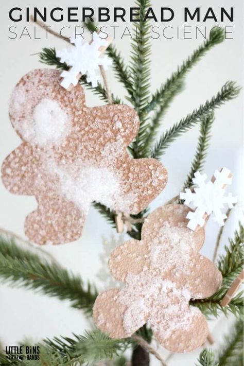 Growing Salt Crystals Gingerbread Man Science Activity for Kids Gingerbread Man Science, Gingerbread Science, Christmas Science Activities, Christmas Stem Activities, Christmas Science Experiments, Lego Christmas Tree, Ornaments Diy Kids, Gingerbread Baby, Winter Science