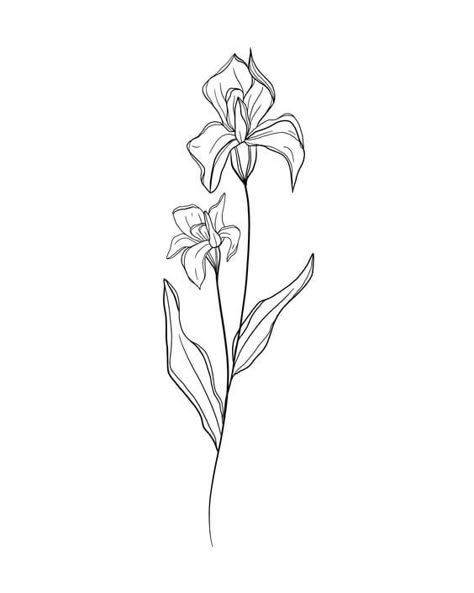 Floral Ink Drawing, Simple Iris Tattoo, Iris Flowers Drawing, Iris Tattoo Design, Iris Flower Tattoo, Iris Drawing, Floral Line Drawing, February Birth Flowers, Iris Tattoo