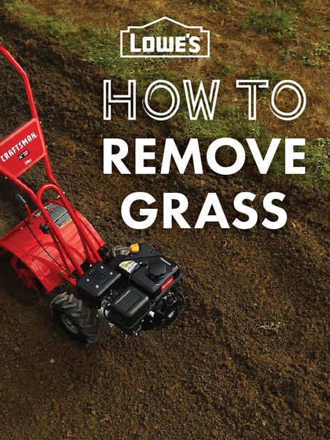 If your lawn is overrun with weeds or you want to begin a new landscape design, here are some ways to get rid of your grass safely and efficiently. How To Remove Grass, Sod Grass, Power Tiller, Grass Weeds, Lawn Alternatives, Types Of Grass, Lip Wrinkles, Diy Raised Garden, Green Stuff