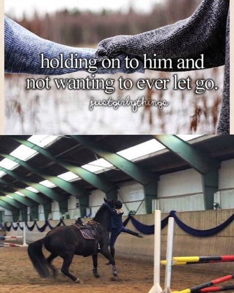 That's totally what they meant right? Equestrian Memes, Funny Horse Memes, Horse Girl Problems, Horse Meme, Horse Quotes Funny, Horse Jokes, Horse Riding Quotes, Equestrian Quotes, Riding Quotes