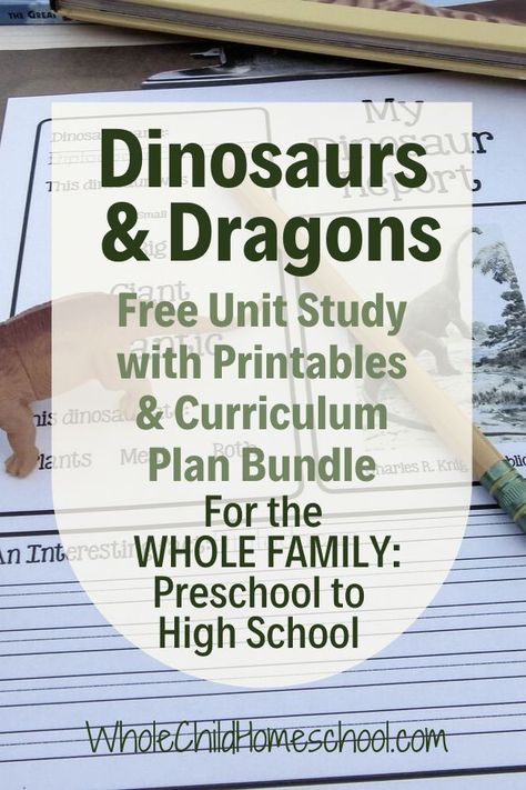 {FREE} bonus to go with the Dinosaurs & Dragons Unit Study. It's a complete curriculum plan bundle for the Dinosaurs and Dragons too unit. It includes the daily lesson plans schedule as well as all of the printables that go with the unit!!! Did I mention it's FREE!? And ALL the planning is done for you?! And there are lessons for PreK up to high school??!! #dinosaurs #dragons #homeschool #unitstudy Dinosaur Unit Study, Unit Studies Homeschool, Free Homeschool Curriculum, Homeschooling Tips, Homeschool Lesson Plans, Daily Lesson Plan, Homeschool Elementary, Curriculum Planning, How To Start Homeschooling