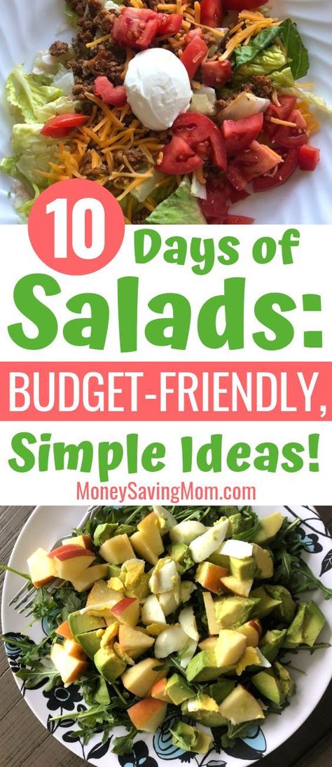 Want to eat more salads, even on a budget? These are GREAT ideas! #saladrecipe #easyrecipe #vegetarianrecipe Budget Bites, Frugal Decor, Super Salads, Conscious Lifestyle, Budget Cooking, Year Goals, Thrifty Thursday, Money Saving Mom, Healthy Food Facts