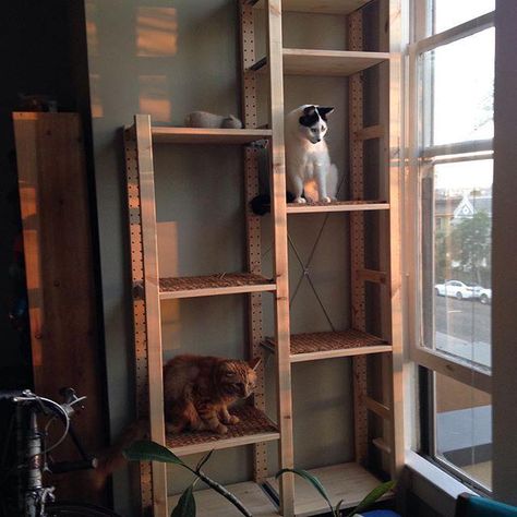 Wooden Crate Cat Tree, Ivar Shelving, Ikea Cat, Diy Cat Tower, Cat Tree Plans, Katt Diy, Kitty Ideas, Cat Patio, Diy Cat Tree