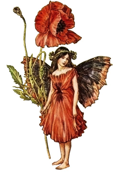 fairycore on Tumblr Mary Barker Fairies, Cecily Mary Barker, Believe In Fairies, Fairy Folk, Cicely Mary Barker, Fairy Pictures, Fairy Artwork, Vintage Fairy, Vintage Fairies