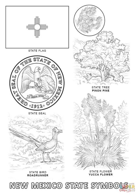 Mexico Drawing Ideas, New Mexico Drawing, Mexico Drawing, New Mexico History, Coloring Page Free Printable, Homeschool Geography, Flag Coloring Pages, State Symbols, Bird Coloring Pages