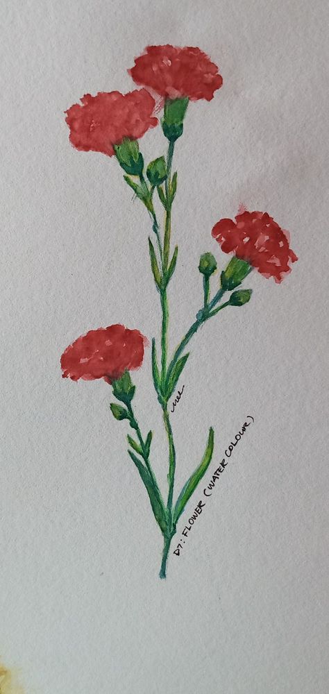 Carnation Painting Easy, Carnations Drawing, Carnation Drawing, Intro To Art, Spanish Posters, Red Carnation, Carnation Flower, Flower Drawing, Maple Leaf Tattoo