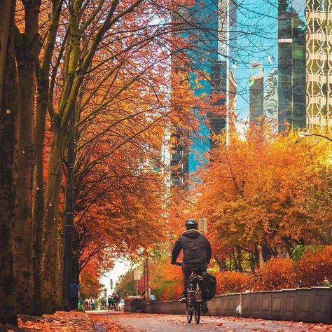 Explore Canada on Instagram: “Hop on two wheels and take in the fall colours around downtown Vancouver, one of the most bike-friendly cities in Canada. Here, you’ll find…” Vancouver Travel, Canada Photography, Granville Island, University Of British Columbia, Fall Colours, Canada Destinations, Downtown Vancouver, Fall Photo, Bike Rides