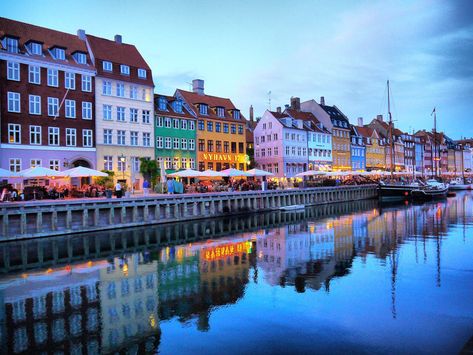 Things to do in Copenhagen in November – Wanderlog Aachen Cathedral, Things To Do In Copenhagen, Reims Cathedral, Denmark Copenhagen, Copenhagen Travel, Luxembourg City, Perfect Itinerary, Winter Garden, Unesco World Heritage Site