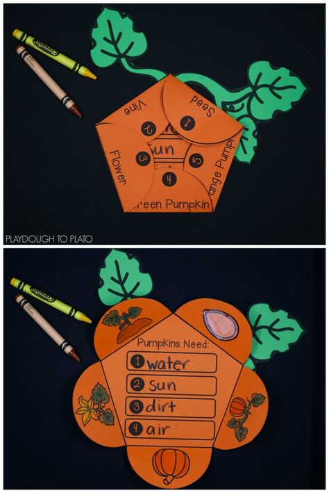 My kids love pumpkins and this Pumpkin life cycle craftivity is always a hit!  An awesome and easy activity for kindergartners and first grade this fall! Pumpkin Activity, Pumpkin Math, Pumpkin Unit, Pumpkin Life Cycle, Retirement Advice, 9 Month Old Baby, 1st Grade Science, Pumpkin Activities, Fall Math