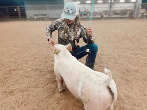 Pig Showing Aesthetic, Show Pig Aesthetic, Pig Show Hairstyles, Pig Show Outfits, Showing Pigs, Show Pigs, Farm Senior Pictures, Livestock Photography, Livestock Showing