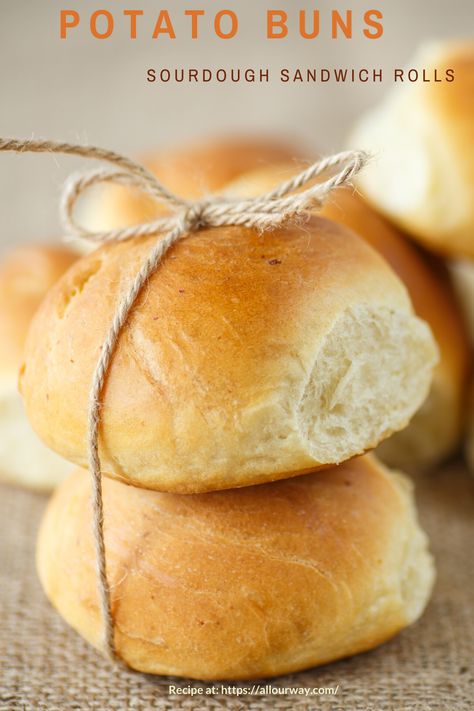 A recipe that combines a hearty white bread with a delicious sourdough flavor and a tender potato texture. Great for sandwich buns or make them smaller for dinner rolls. Can be frozen then warmed for fresh as baked rolls. Sourdough Panini, Beautiful Meals, Sandwich Buns, Italian Accent, Sourdough Rolls, Potato Rolls, Baked Breads, Banana Bread Ingredients, Tasty Bread Recipe