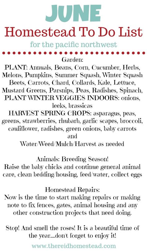 Homestead To Do List, Pacific Northwest Garden, Northwest Garden, Winter Veggies, Squash Plant, Spring Crops, Homestead Life, Homesteading Diy, Homestead Farm