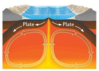 Lithospheric Plates, Divergent Boundary, Plate Tectonic, Tectonic Plate Boundaries, Tectonic Plate Movement, Seafloor Spreading, Plate Tectonic Theory, Convection Currents, Movement Drawing