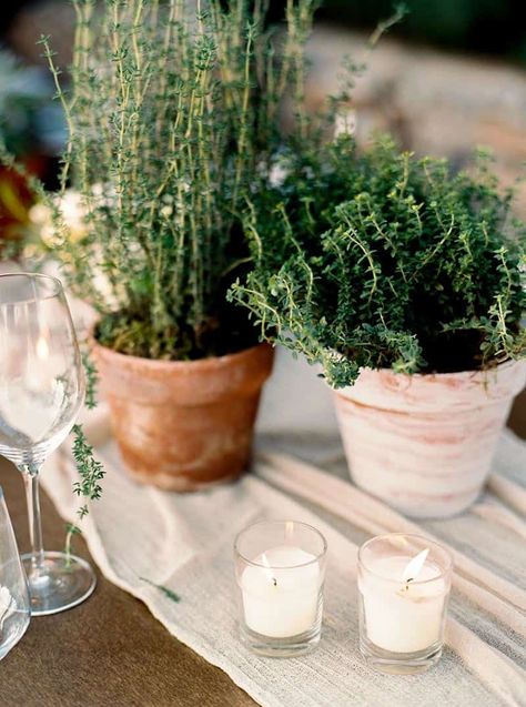 7 Creative Ways To Use Potted Plants In Your Wedding Decor Flowers For Rehearsal Dinner Tables, Herb Wedding Centerpieces, Simple Ceremony Decor, Tuscan Tablescape, Herb Wedding, Hydrangea Potted, Plant Centerpieces, Wedding Flower Ideas, Plant Wedding